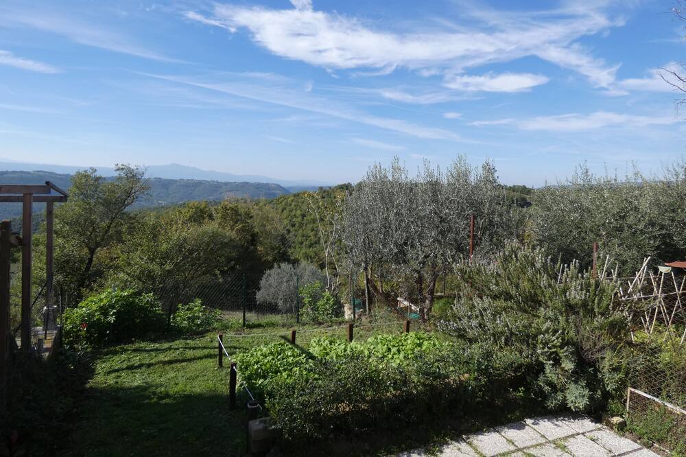 Photo of Outdoor in Parrano