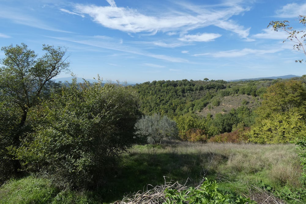 Photo of Outdoor in Parrano