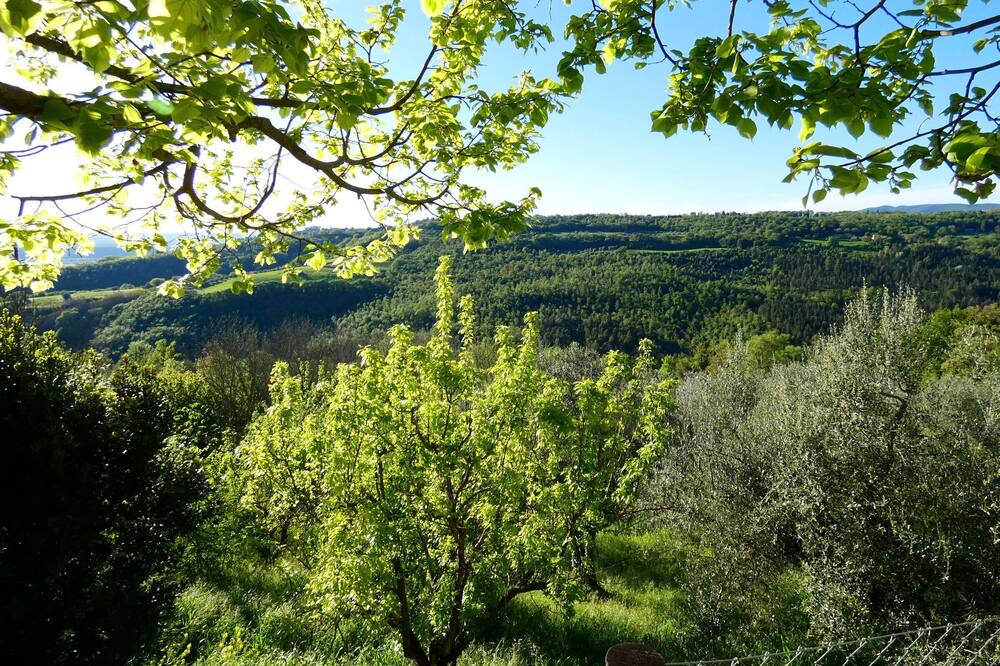 Photo of Outdoor in Penna in Teverina