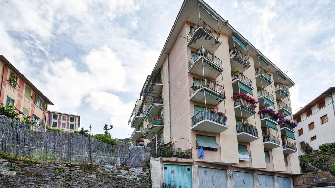 Photo of Others in Camogli