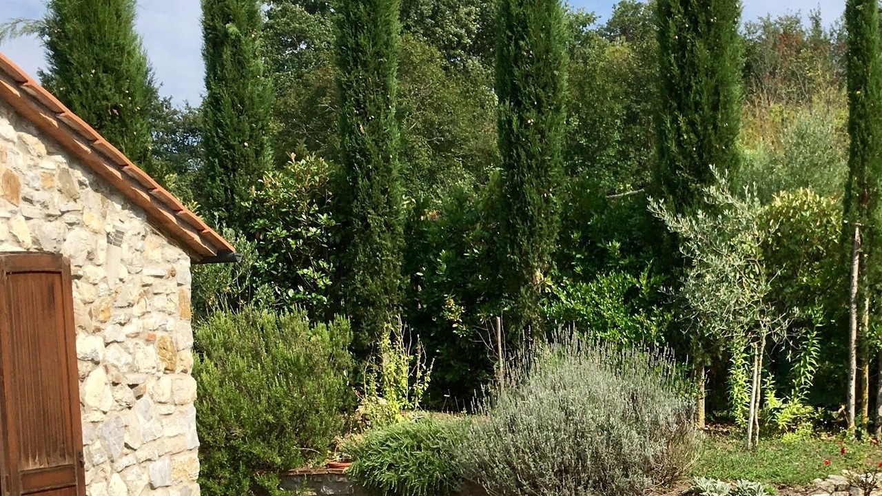 Photo of Outdoor in Travale