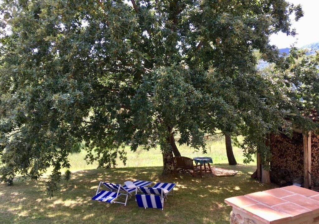Photo of Outdoor in Travale