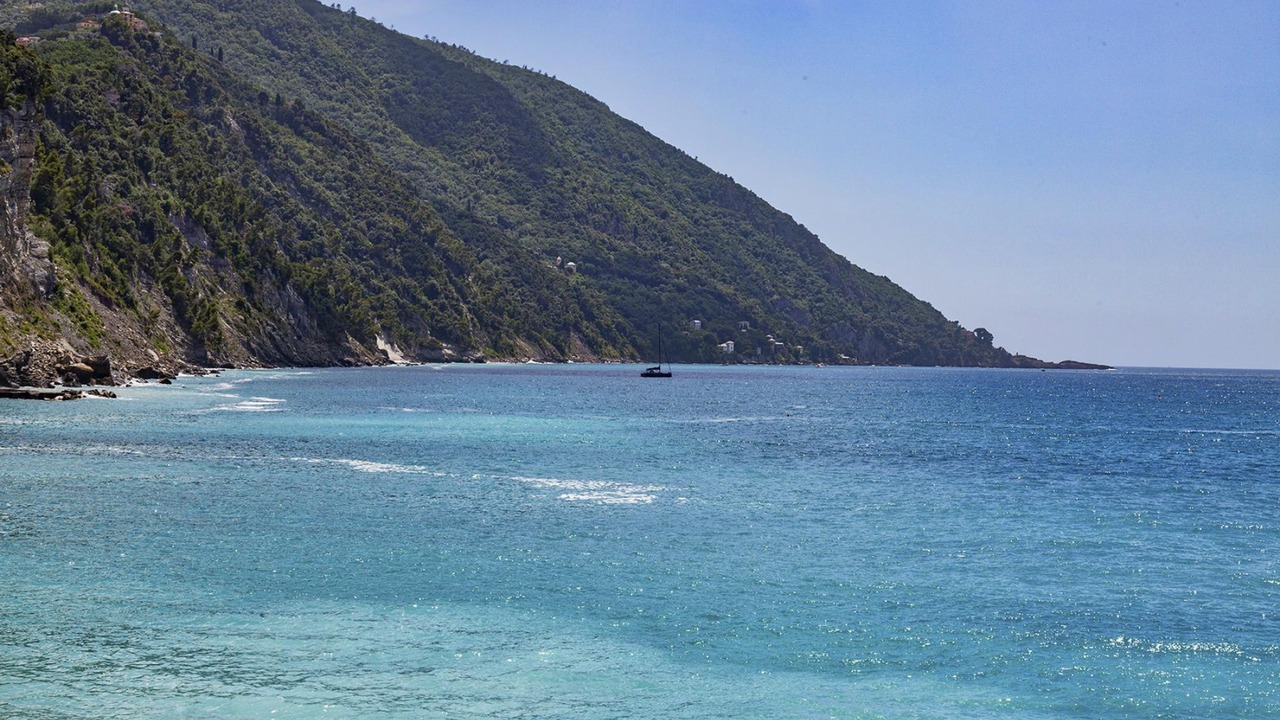 Photo of Others in Camogli