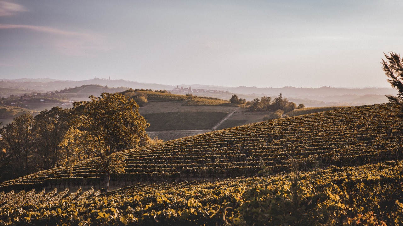 Photo of Outdoor in Nizza Monferrato