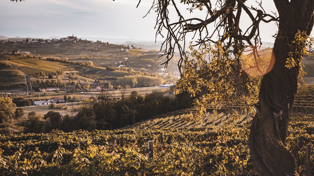 Photo of Outdoor in Nizza Monferrato