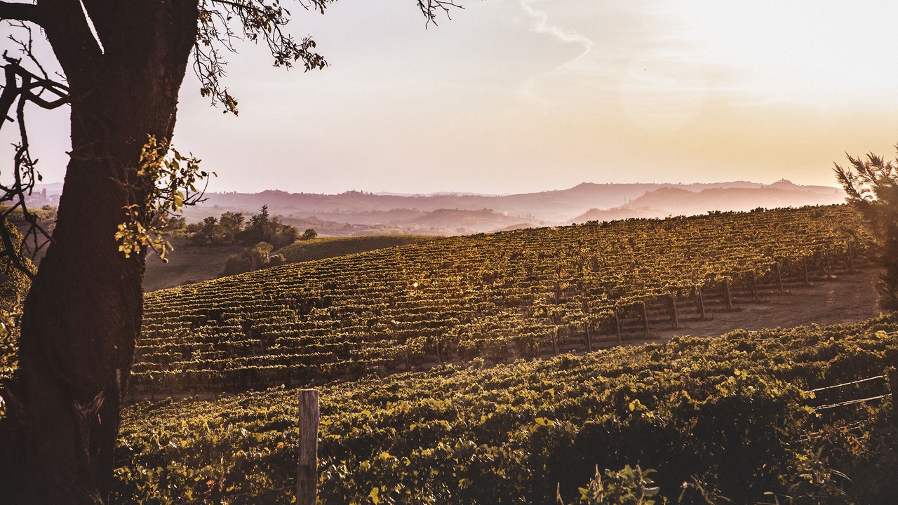 Photo of Outdoor in Nizza Monferrato