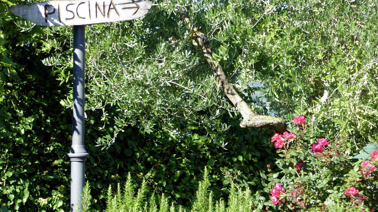 Photo of Outdoor in Montecarelli