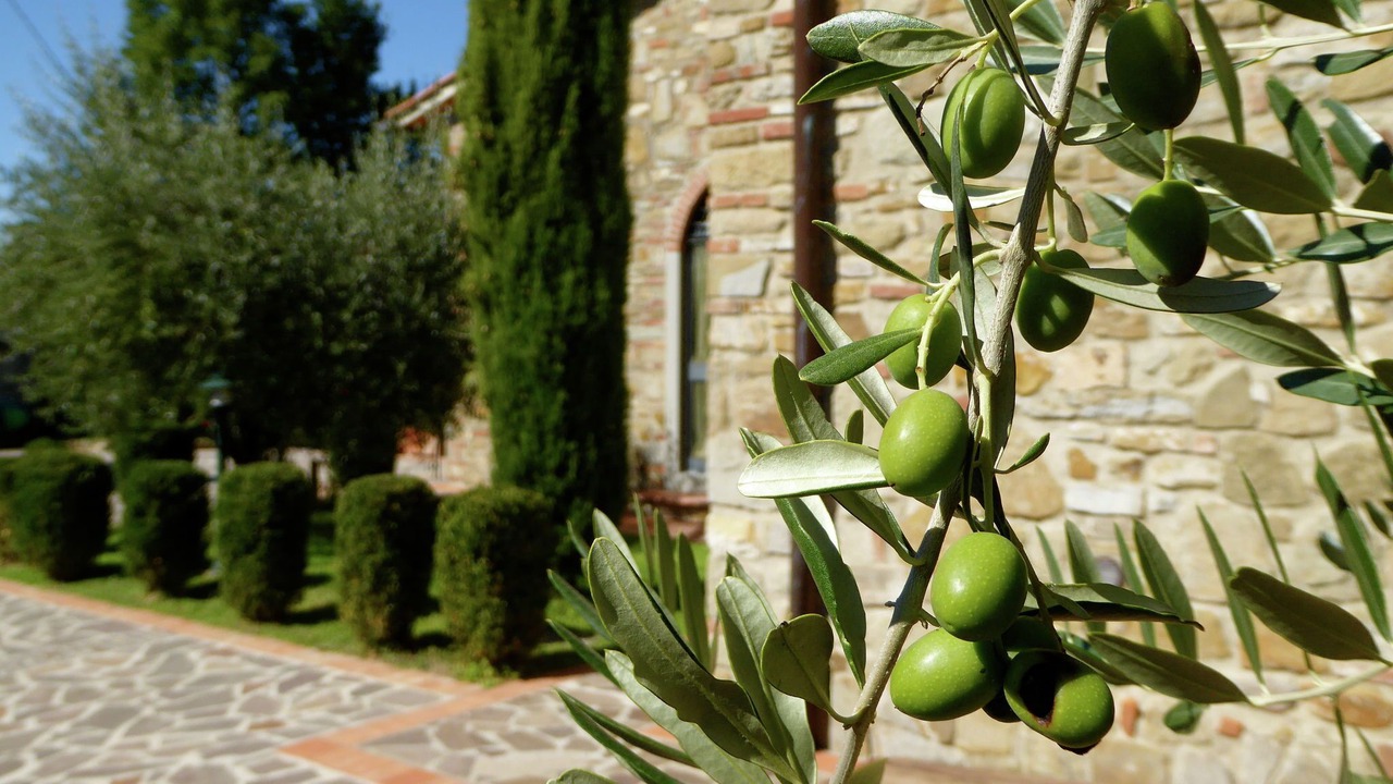 Photo of Outdoor in Montecarelli