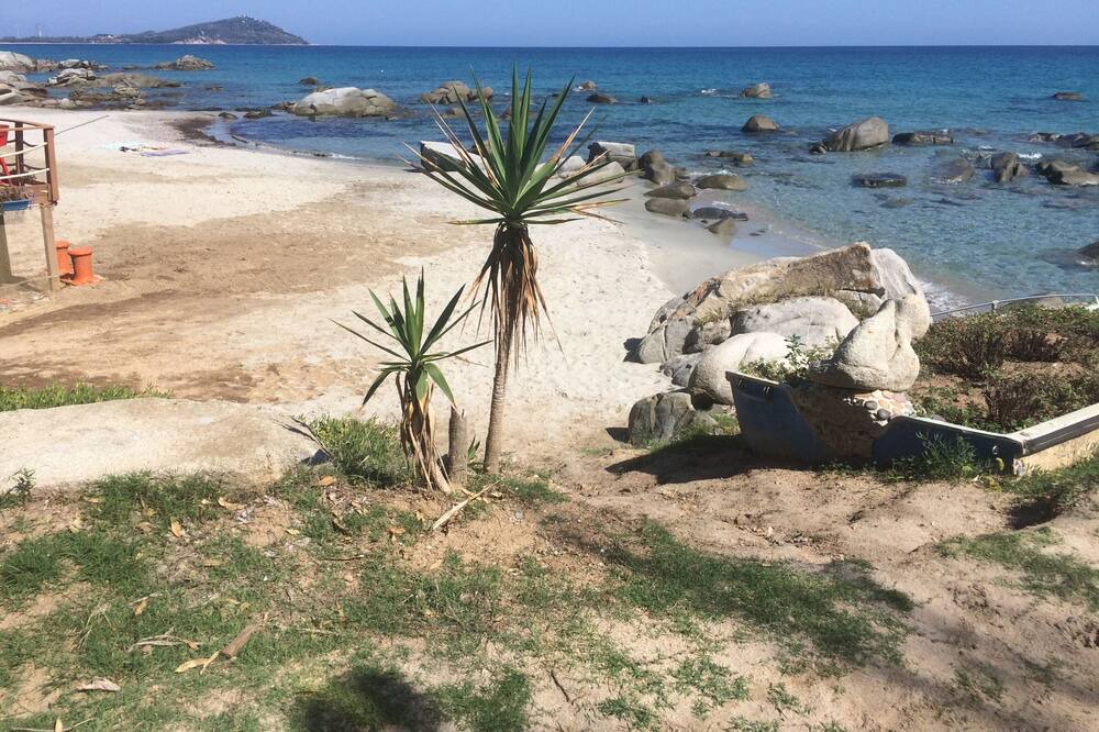 Photo of Others in Lanusei