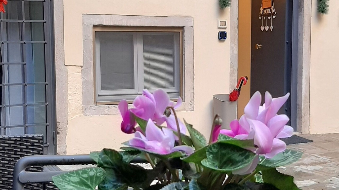 Photo of Outdoor in San Polo