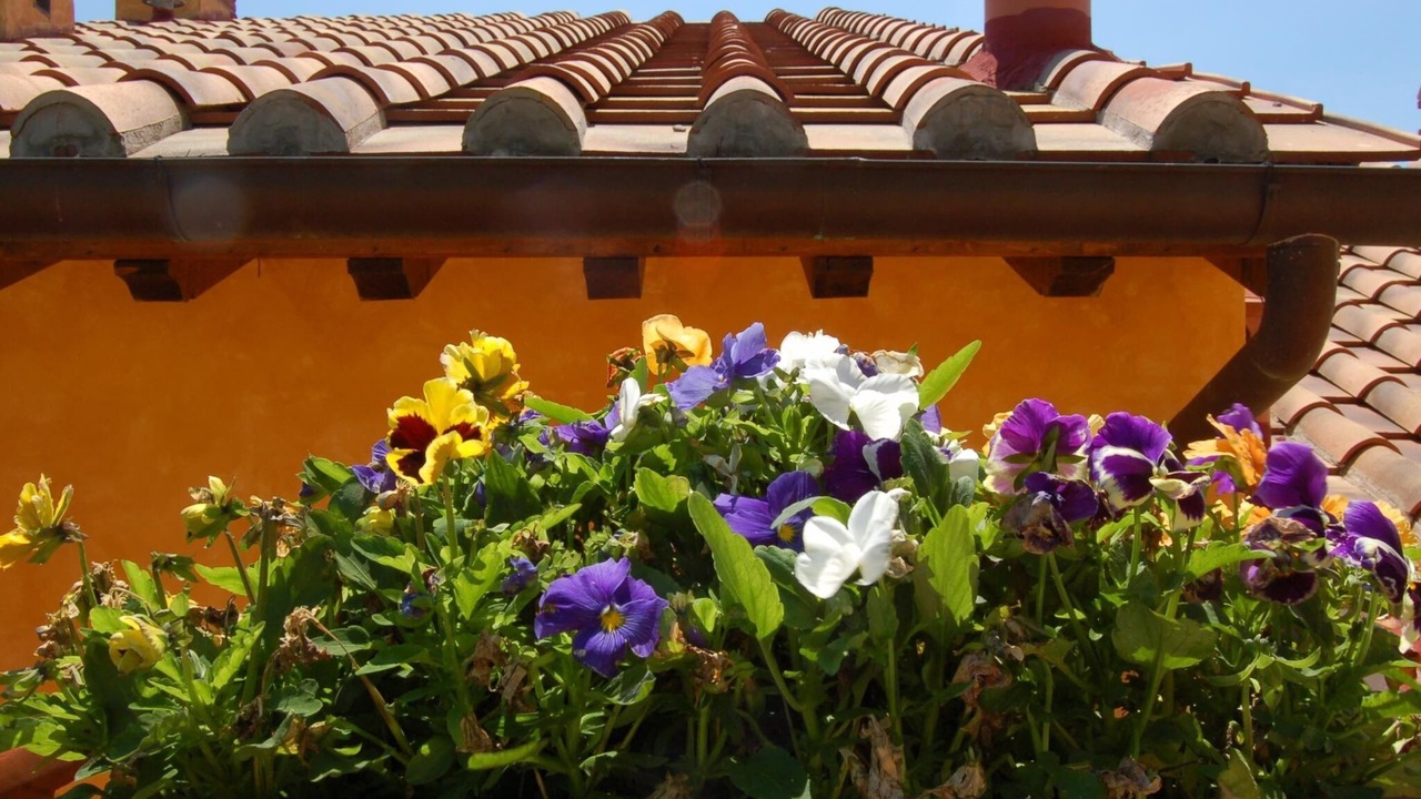 Photo of Outdoor in Gambassi Terme