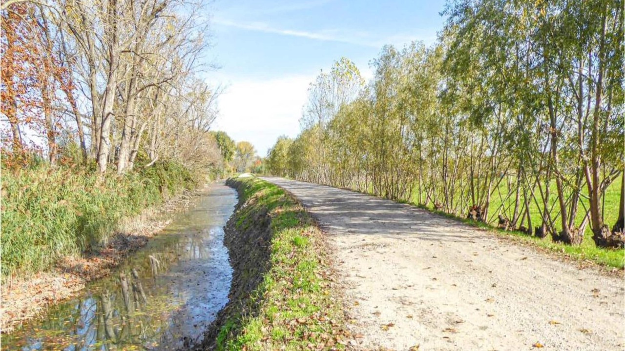 Photo of Others in Codevigo