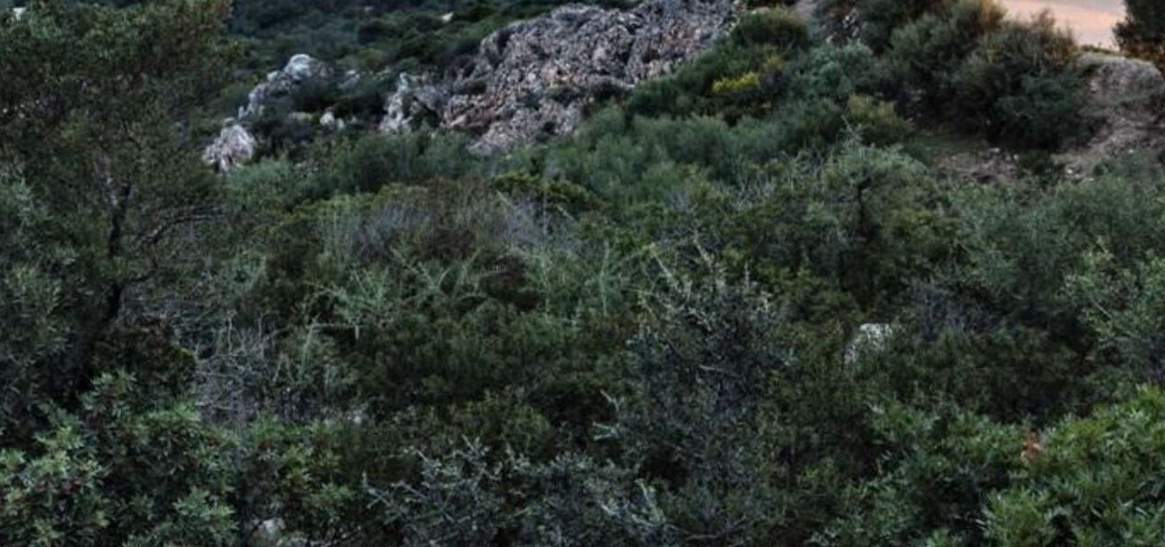 Photo of Outdoor in Cugnana Verde