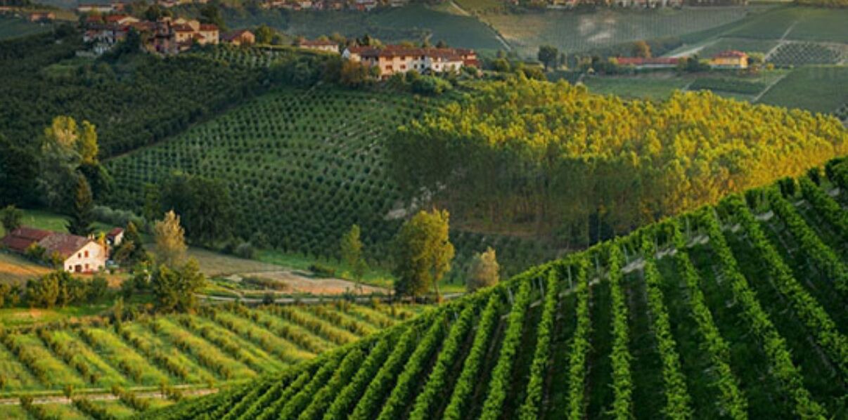 Photo of Outdoor in Rocca Grimalda