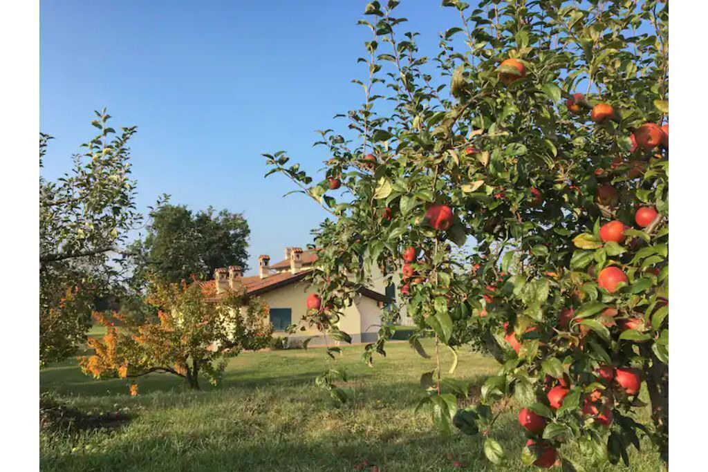 Photo of Outdoor in Rocca Grimalda