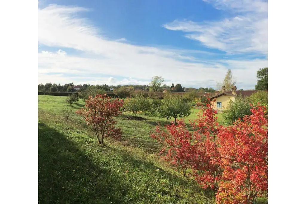 Photo of Outdoor in Rocca Grimalda