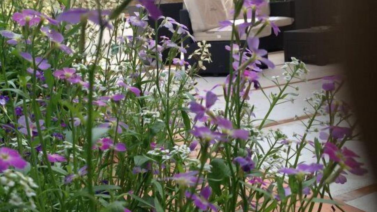 Photo of Outdoor in Minturno