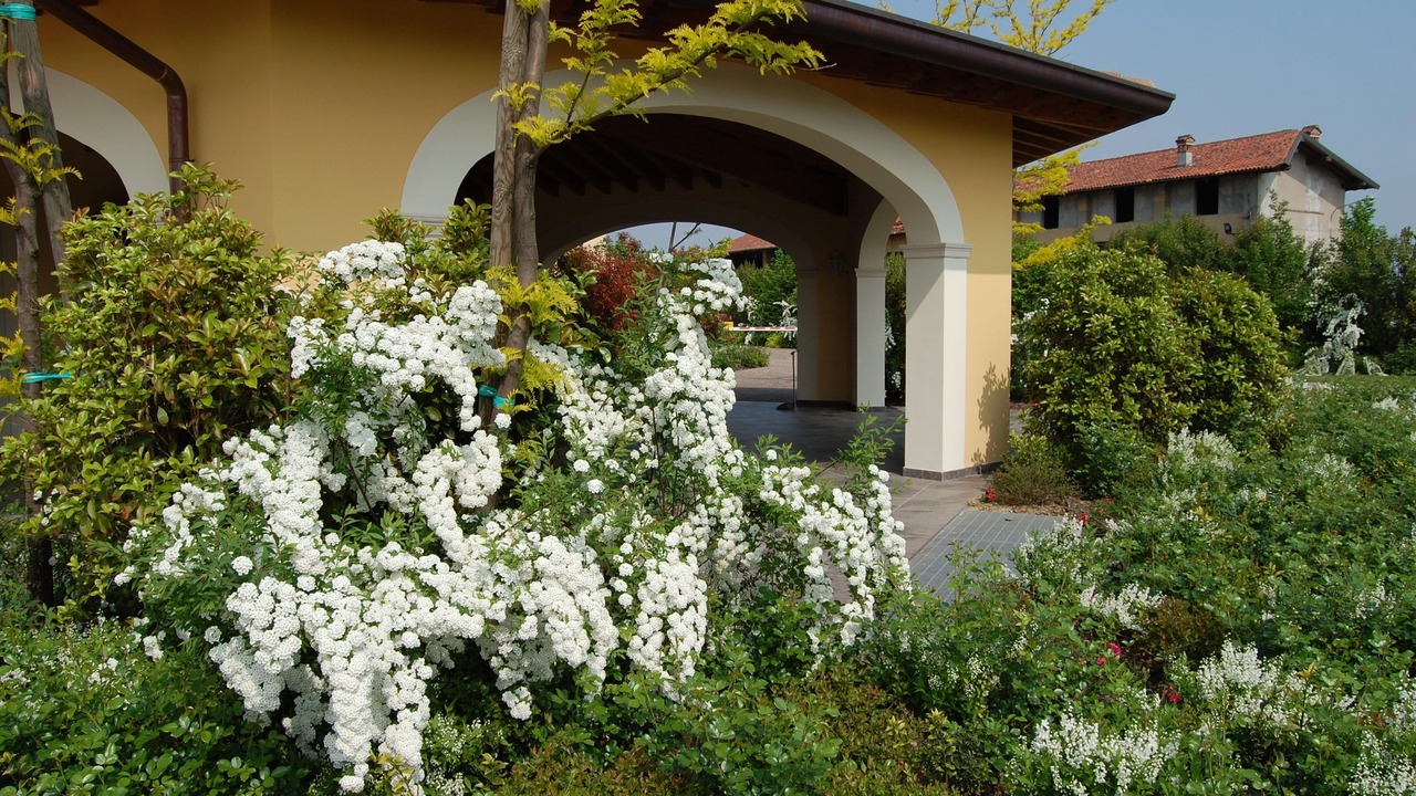 Photo of Outdoor in Calcinate