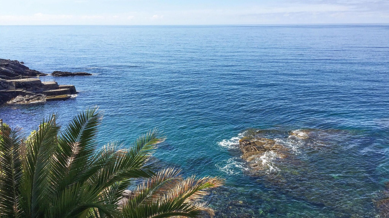 Photo of Others in Spotorno