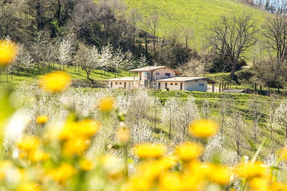 Photo of Outdoor in Falerone
