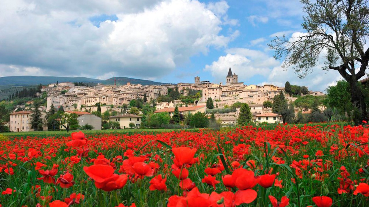 Photo of Outdoor in Spello