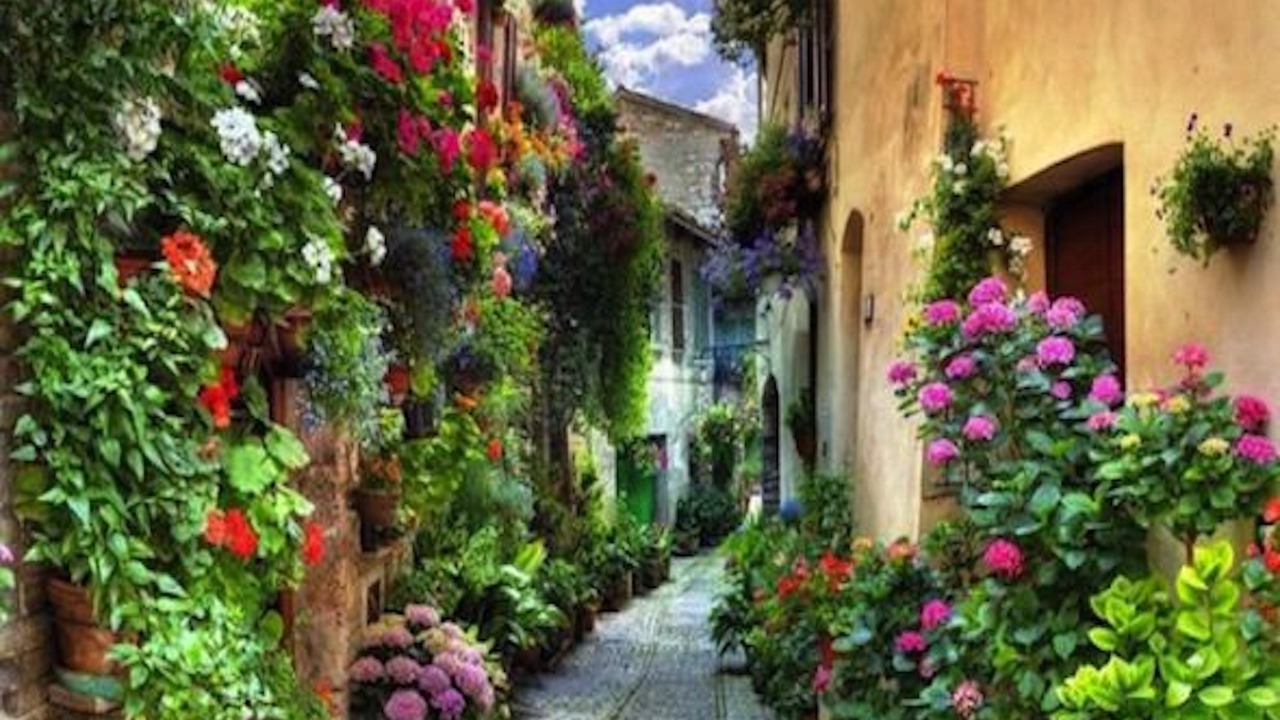 Photo of Outdoor in Spello