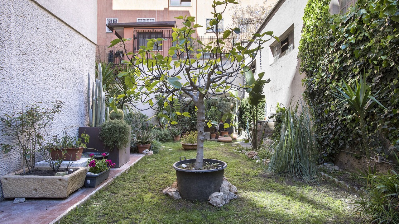Photo of Outdoor in Quartiere XVII Trieste