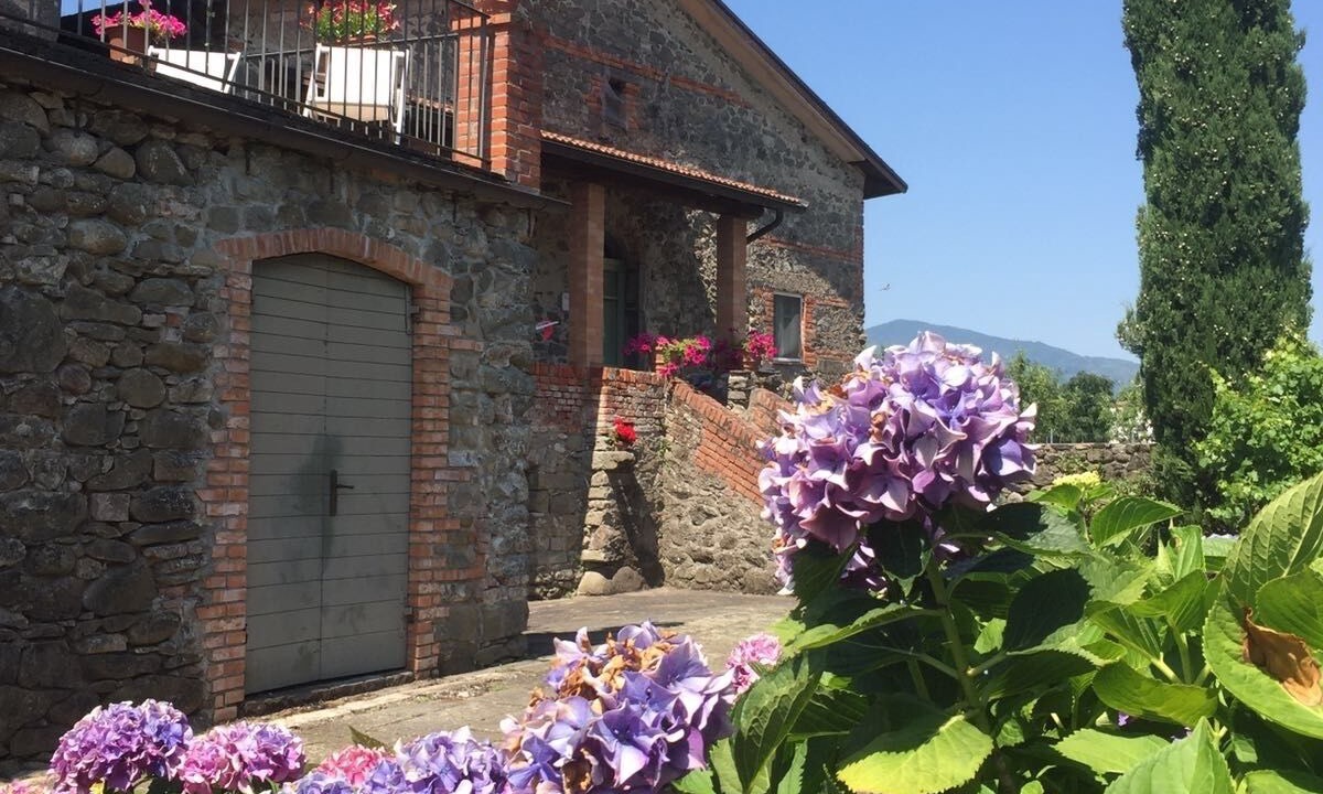 Photo of Outdoor in Filattiera