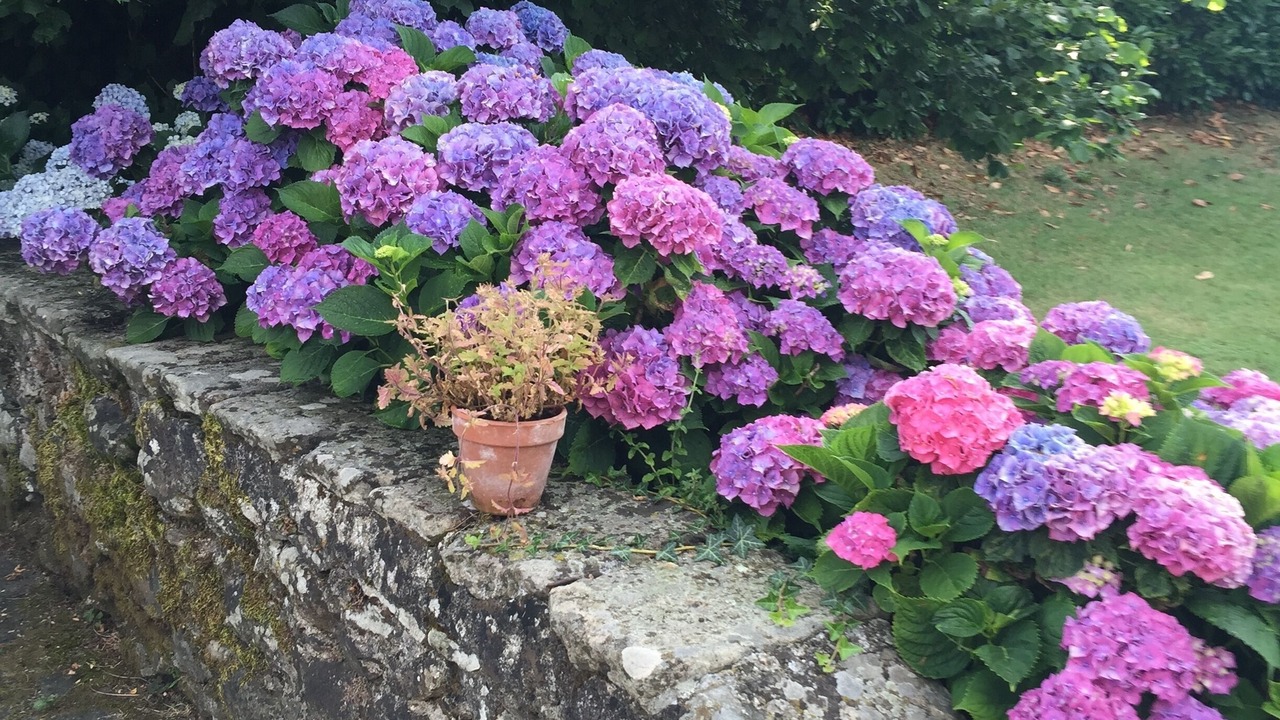 Photo of Outdoor in Filattiera