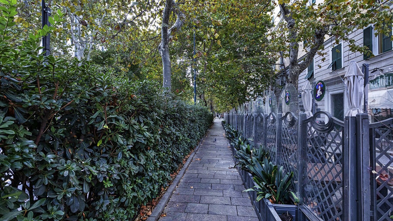 Photo of Outdoor in Carignano