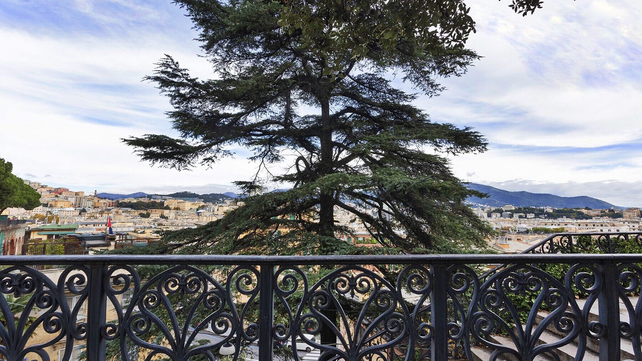 Photo of Outdoor in Carignano