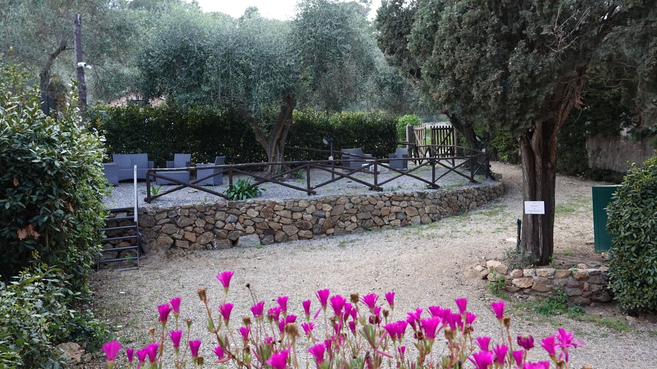 Photo of Others in Porto Ercole