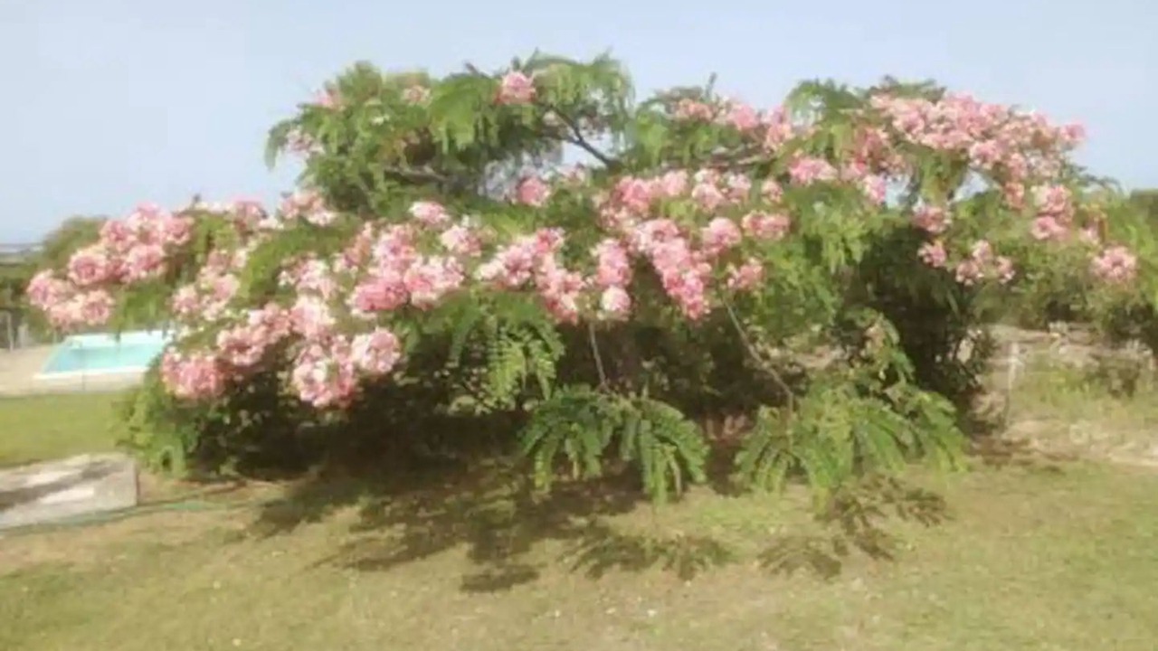 Photo of Outdoor in Calasetta