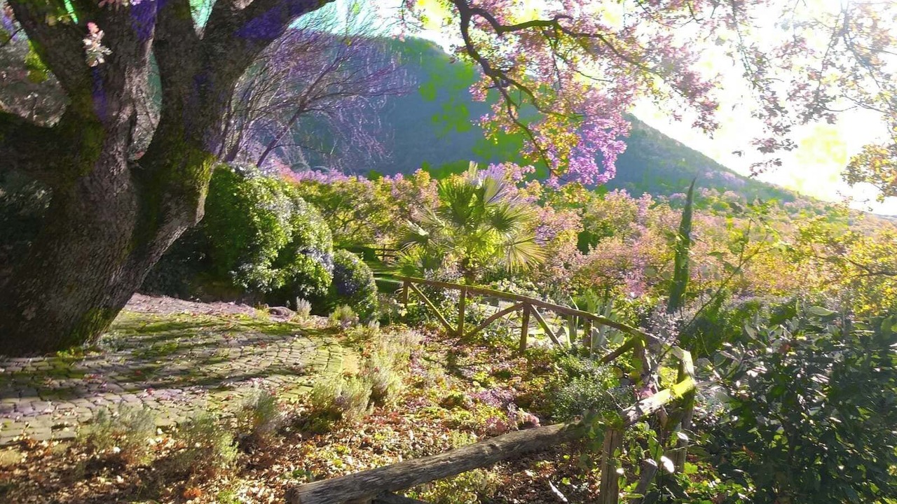 Photo of Outdoor in Bagnaia