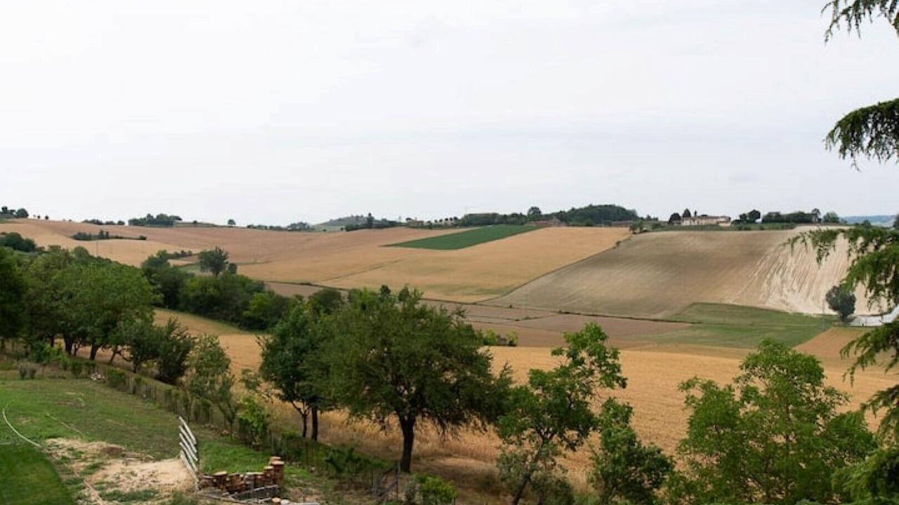 Photo of Others in Moncalvo