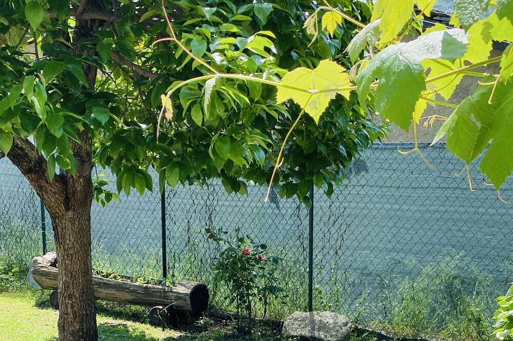 Photo of Outdoor in Brossasco