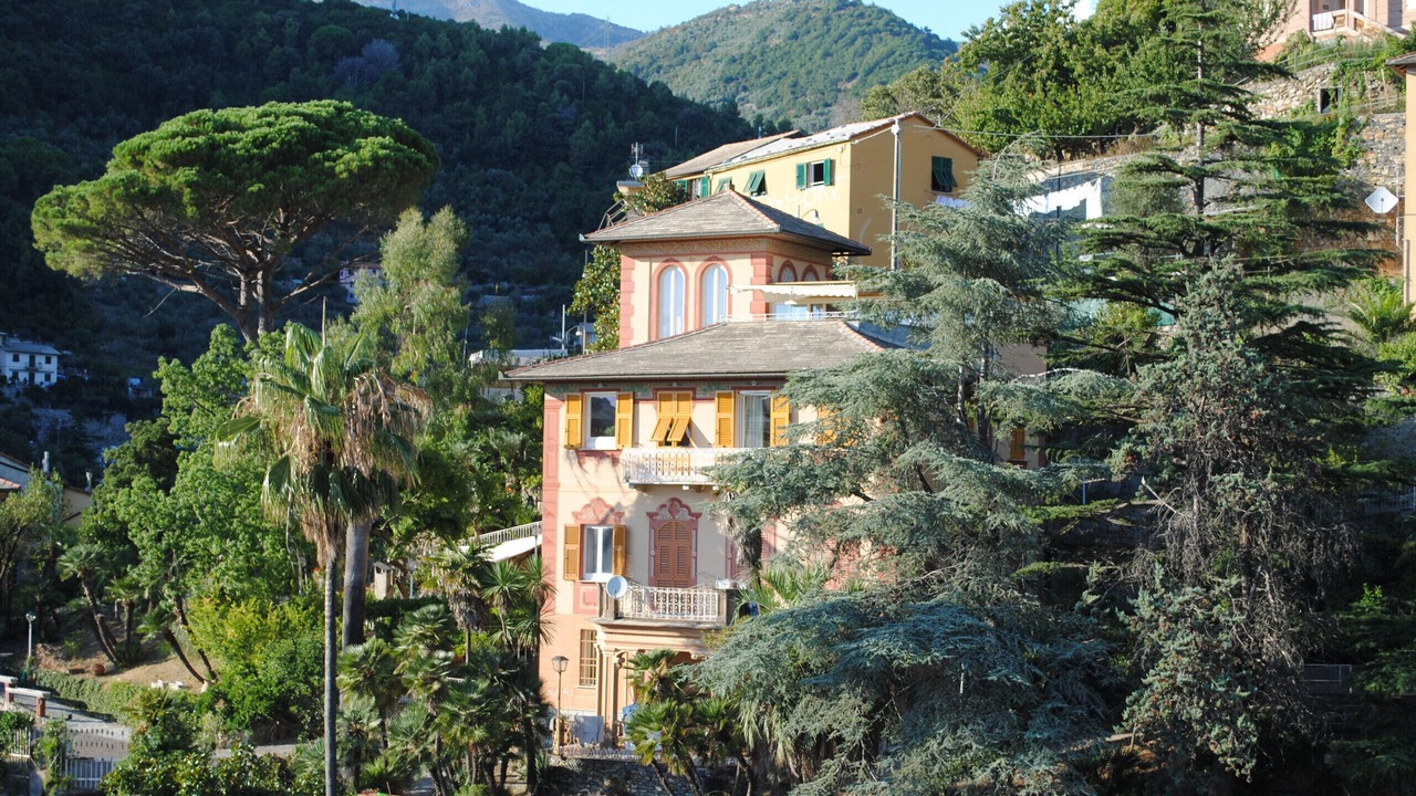 Photo of Outdoor in Sori