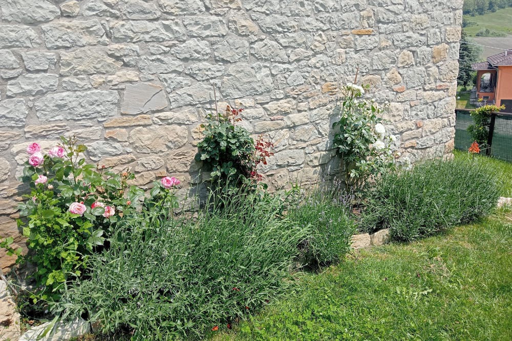 Photo of Outdoor in Carpineti