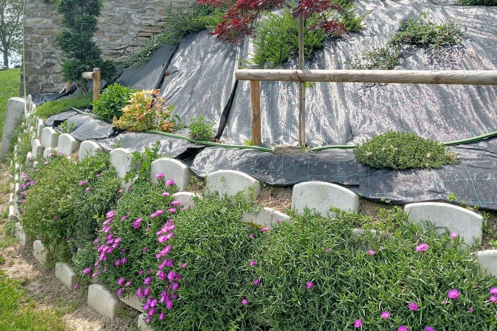 Photo of Outdoor in Carpineti