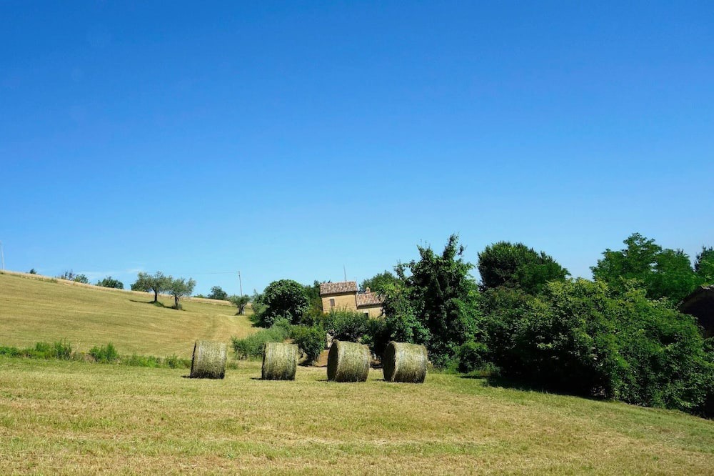 Photo of Others in Penna San Giovanni