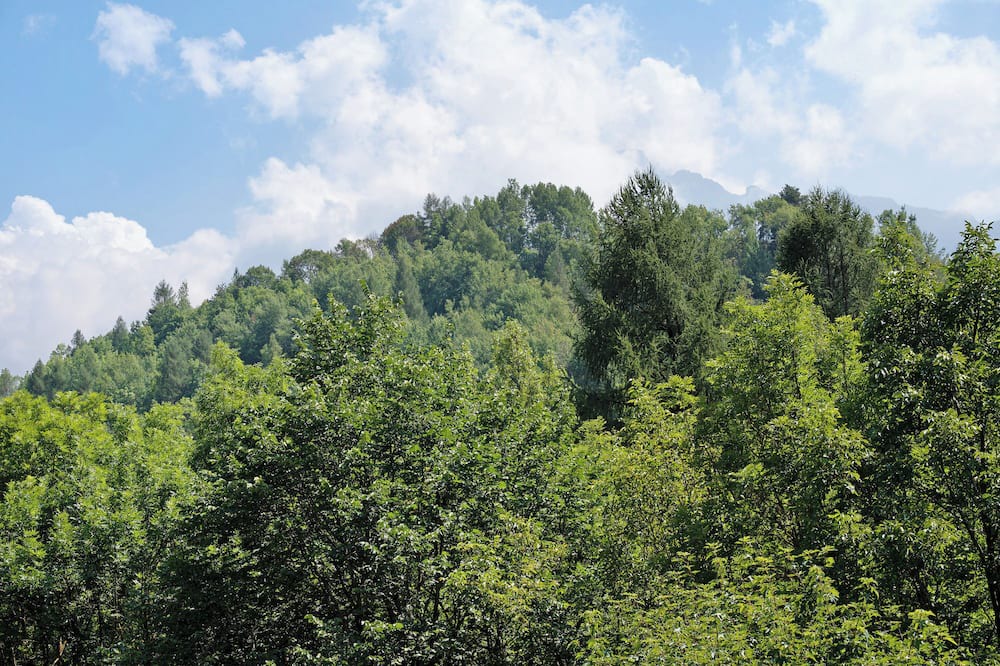Photo of Outdoor in Entracque