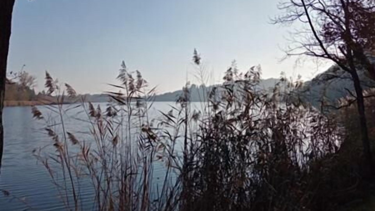 Photo of Outdoor in Canzo