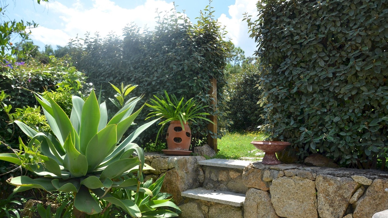 Photo of Others in Porto Ottiolu