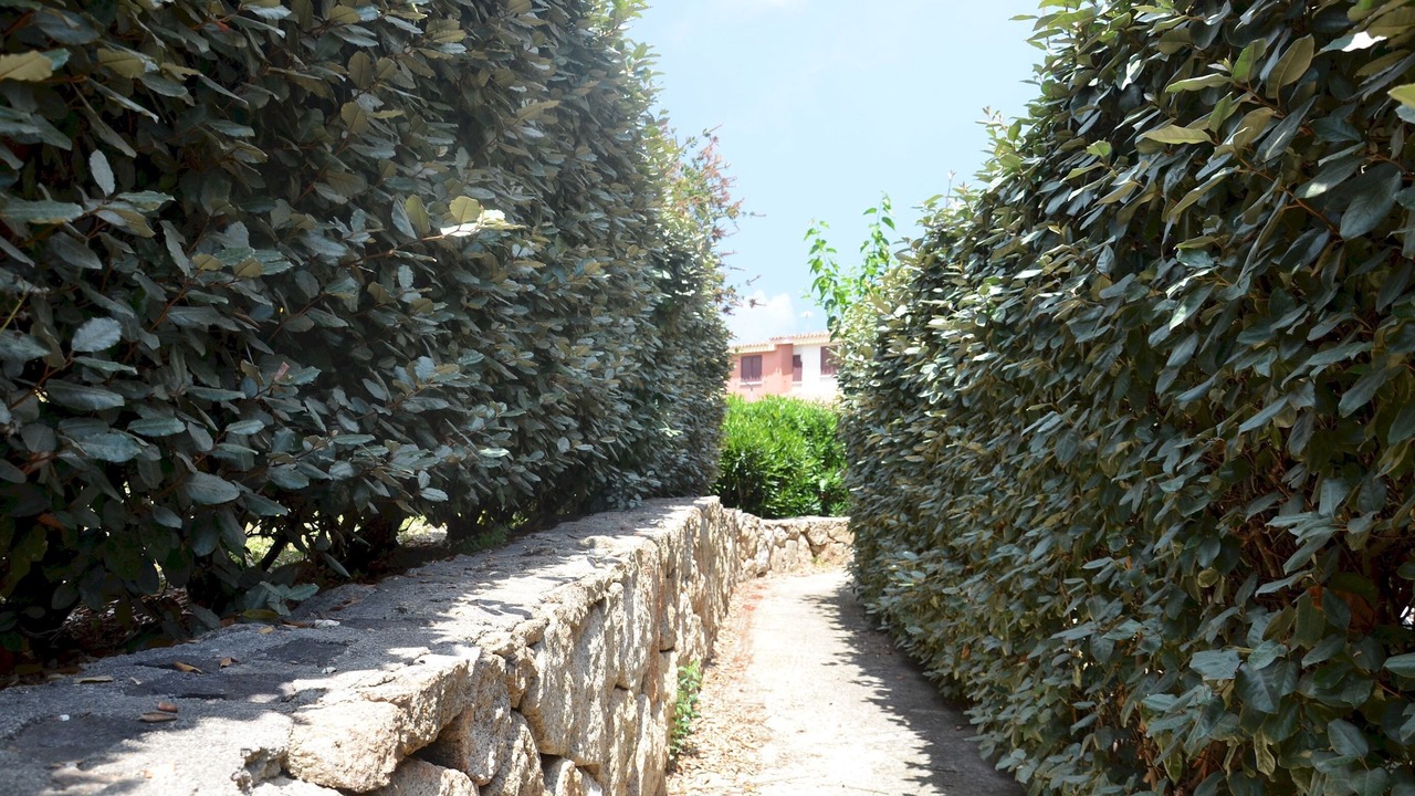 Photo of Others in Porto Ottiolu