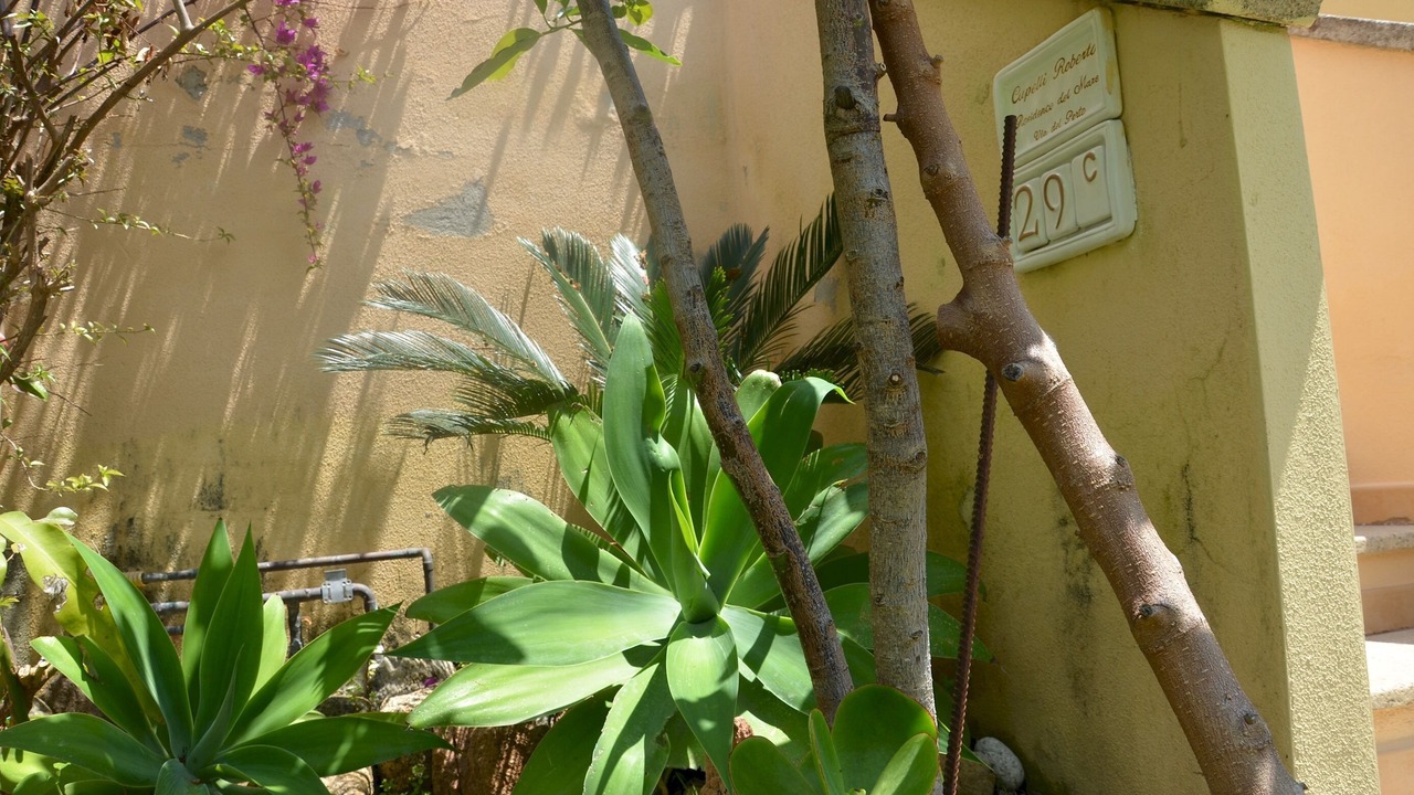 Photo of Others in Porto Ottiolu