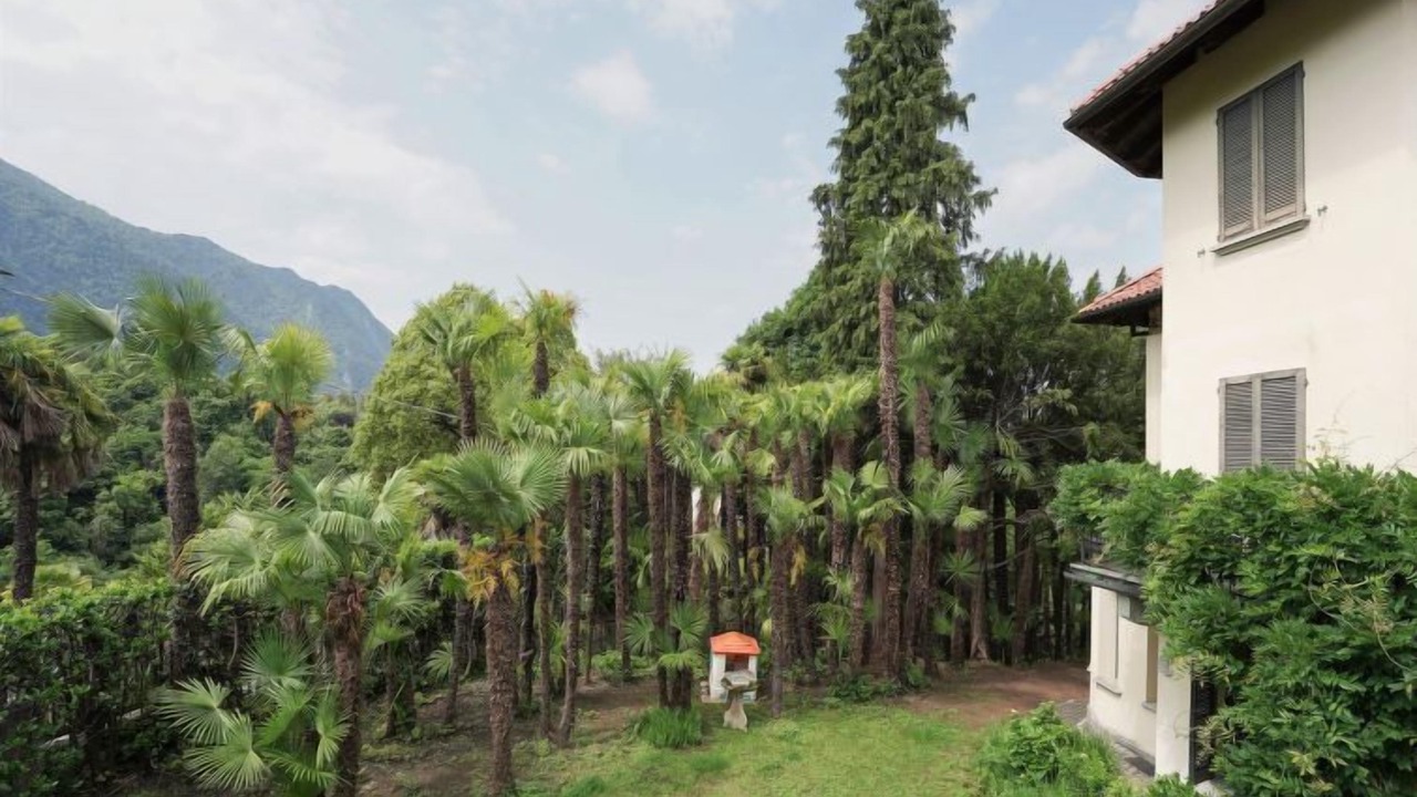 Photo of Outdoor in Castello