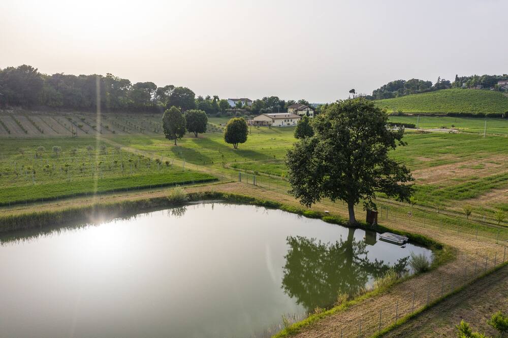 Photo of Outdoor in Bertinoro