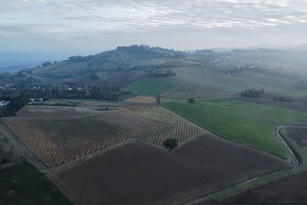 Photo of Others in Bertinoro