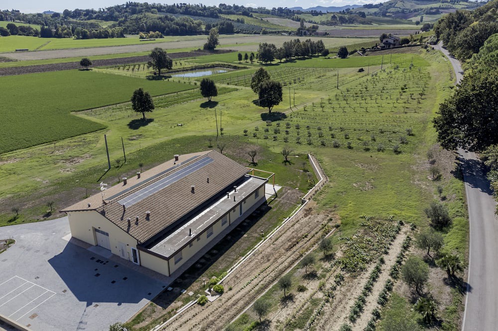 Photo of Outdoor in Bertinoro