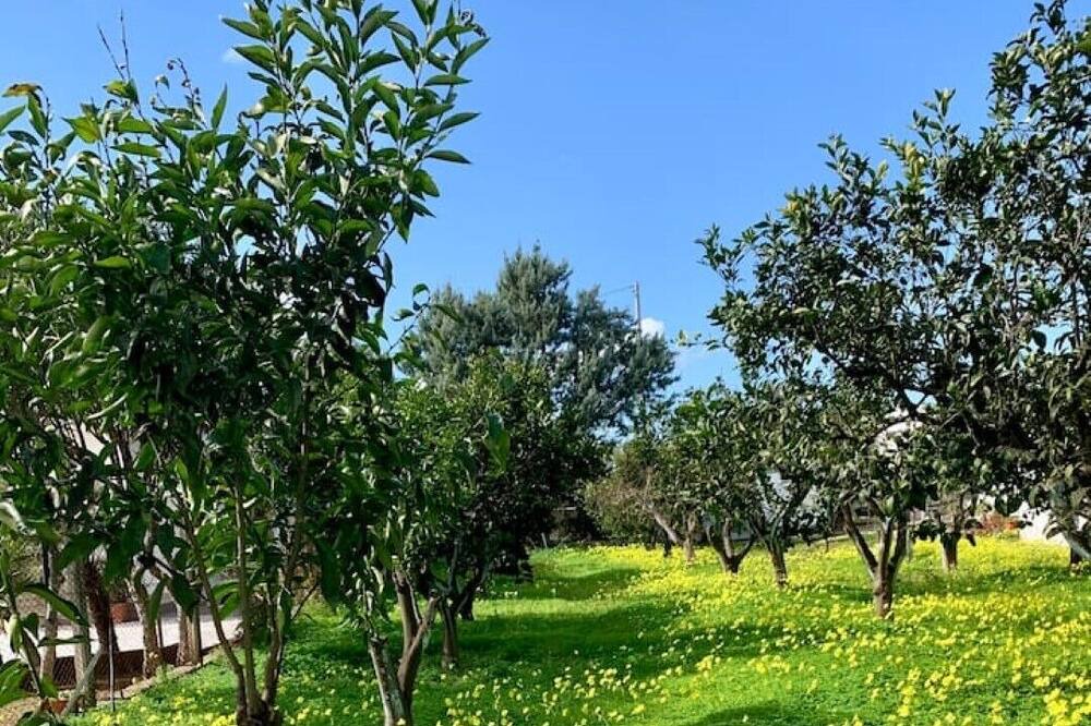Photo of Outdoor in Cagnano Varano